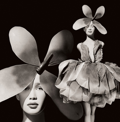 Rolston: Hollywood Royale