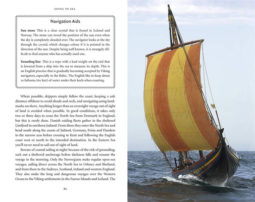 Viking : The Norse Warrior's (Unofficial) Manual