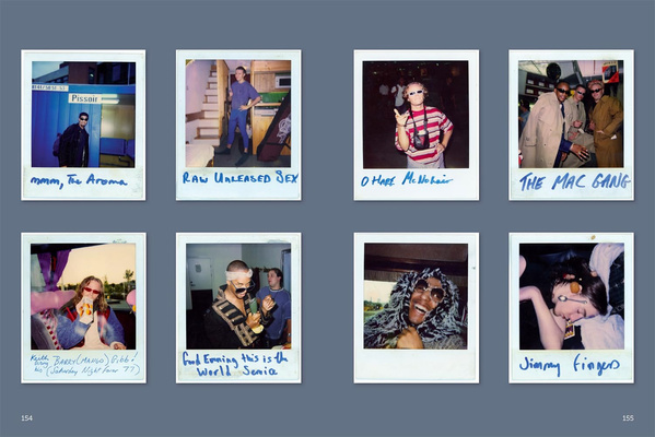 Wildfire : My Ten Years Getting High in The Prodigy