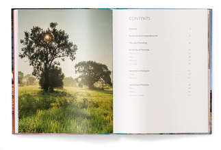 Sacred Spaces : The Holy Sites of Buddhism