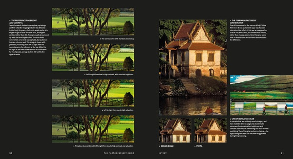 The Photographer's Mind Remastered Creative