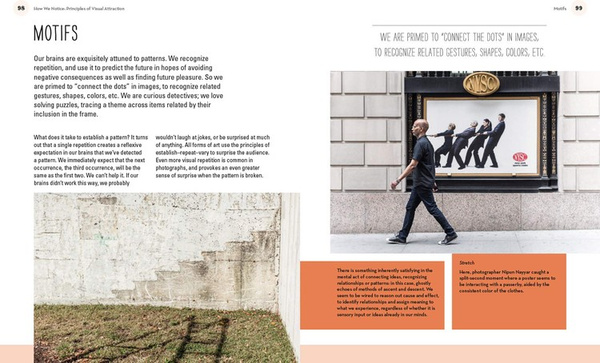 Why You Like This Photo :The science of perception